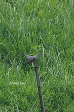 20140601_2402.jpg