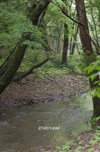 20140608_7002.jpg
