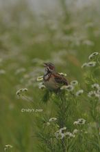 20140620_3095.jpg