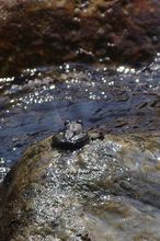 20140721_4763.jpg
