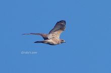 20140916_8255.jpg