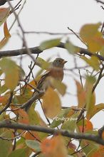20141026_1806.jpg