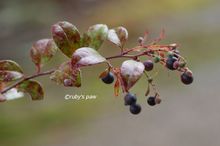 20141121_8543.jpg