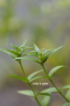 2015-08-30 008.png