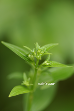 2015-08-30 031.png