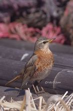 20150227_0079.jpg