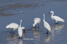 20150308_0857.jpg