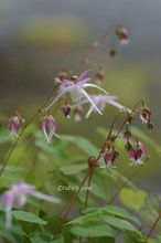 20150404_9544.jpg