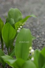 20150416_9814.jpg