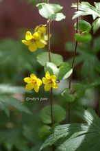 20150514_0207.jpg