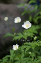 20150514_0210.jpg