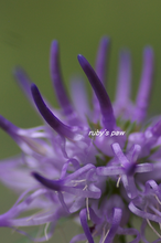 2017-05-22 006.png