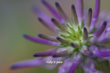 2017-05-22 011.png