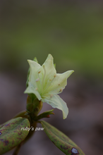2019-03-27 012.png